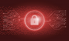 Building a cyber fortress – the intricacies of data security