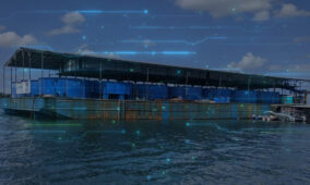 Singapore launches its first floating cybersecure smart fish farm