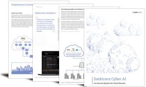 An immune system for cloud security