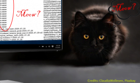 Meow… your unsecured public-web database has just been chewed up!