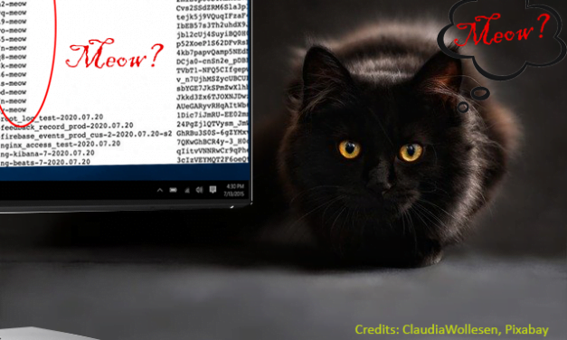 Meow… your unsecured public-web database has just been chewed up!