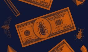 Top bug bounty programs announced for 2020