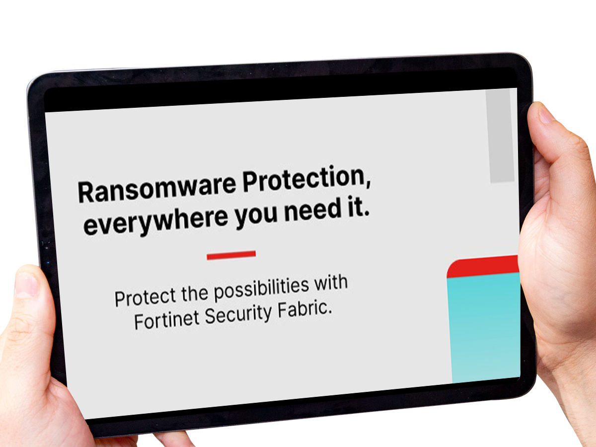Whitepaper: LabsThe Rise of Ransomware POV