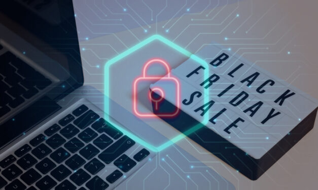 Survive e-commerce and festive e-shopping with these tips