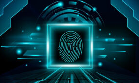 Hassle-free biometric authentication for passwordless login