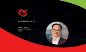 Machine learning in data governance: exploring the rubric
