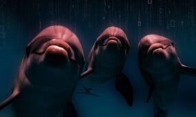 This North Korean dolphin has its eyes set on South Korean secrets