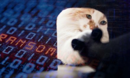 The 2022/2023 cat-and-mouse cybercrime war continues