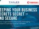 Unlock Your Guide to Securing Business Critical Secrets