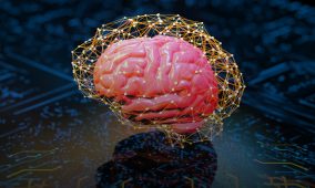 Have humans (Qu)bit off more than we can chew from quantum computing exploration?