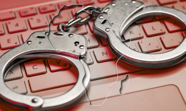 Vast foreign-run cybercrime networks taken down in Africa