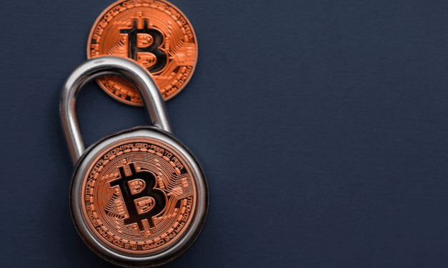 India’s WazirX strengthens governance and digital asset security