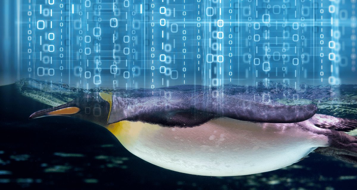 Linux kernel zero day enables root privilege escalation across most distros