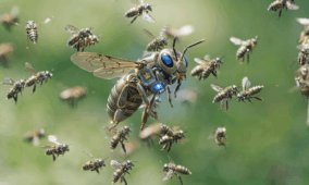 And we all thought the AI agent swarm attack was just a one-off…