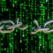 Leaked exploit details preceded emergency PHP2Shell patches
